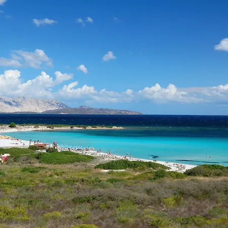 Apartment Residenze Gallura Trilo 6 - Happy San Teodoro (Sardinia)