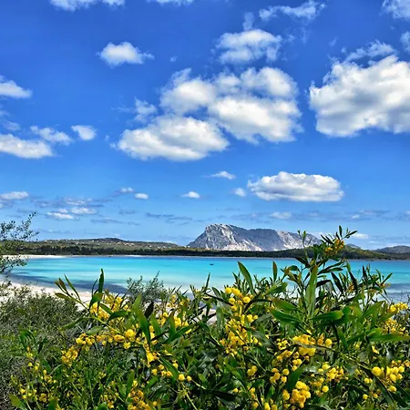 Residenze Gallura Trilo 6 - Happy Appartamento *
