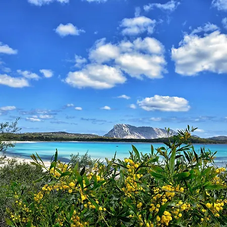 Lägenhet Residenze Gallura Trilo 6 - Happy