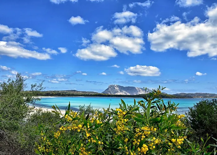 Residenze Gallura Trilo 6 - Happy شقة *