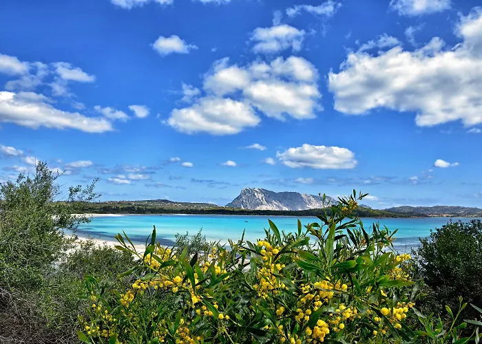 شقة Residenze Gallura Trilo 6 - Happy